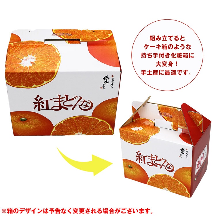 紅まどんな 1.3kg 愛媛県産 ご家庭用 手土産 6-10玉程度 M-2Lサイズおまかせ 良品以上 JAえひめ中央 常温便 同梱不可 指定日不可  ミカン: 食の達人お取り寄せグルメ｜JRE MALL