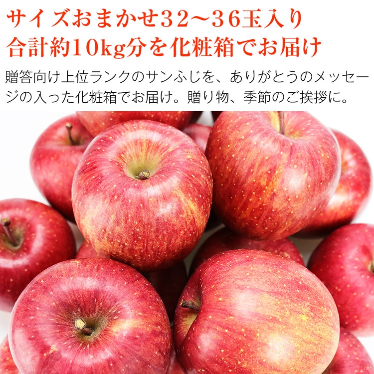 サンふじ 10kg 青森県産 贈答用 りんご 32ー36玉 産地直送 林檎 リンゴ