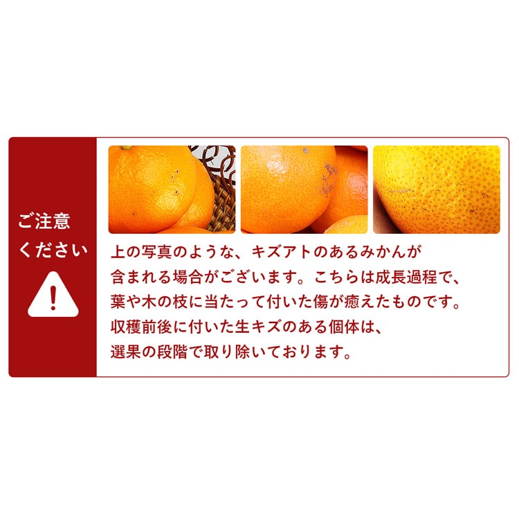 味まるみかん 糖度12度 3kg 長崎県産 秀品 21-39玉程度 S/M/Lサイズ JAながさき西海 あじまる 常温便 同梱不可 指定日不可 ミカン  蜜柑: 食の達人お取り寄せグルメ｜JRE MALL