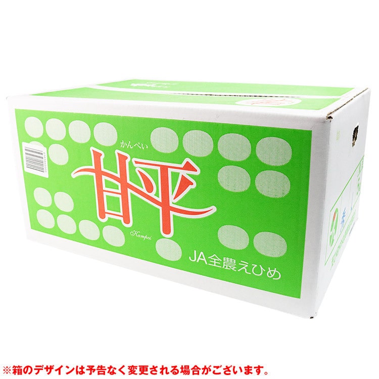 甘平みかん 5kg 愛媛県産 JAえひめ中央 かんぺい L/2L/3Lサイズ