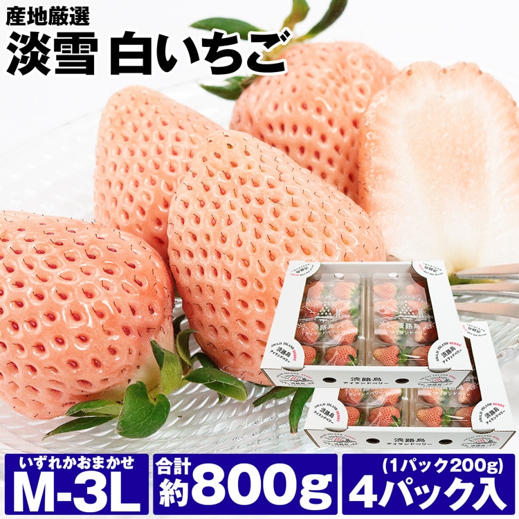 淡雪 いちご 白いちご 4パック 約800g (1パック約200g×4) 産地厳選 M/L 