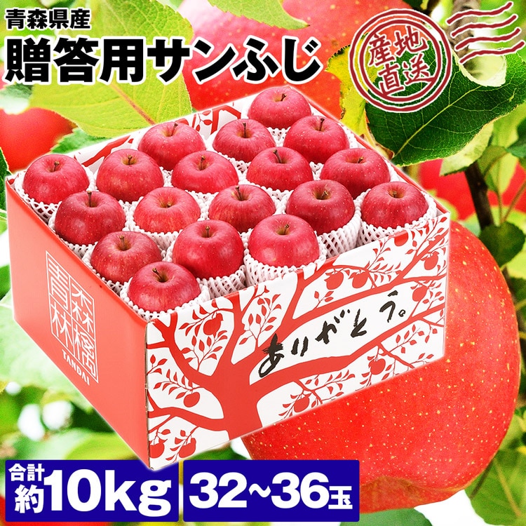 サンふじ 10kg 青森県産 贈答用 りんご 32ー36玉 産地直送 林檎 リンゴ