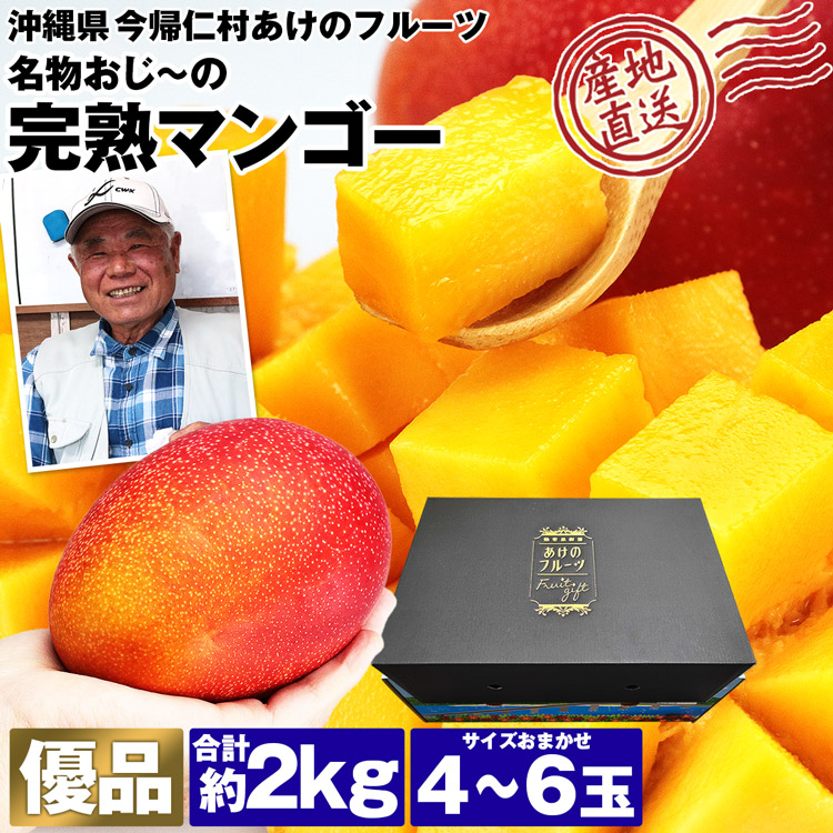 沖縄産☆贈答用金煌マンゴー6玉(2kg) - 通販 - guianegro.com.br