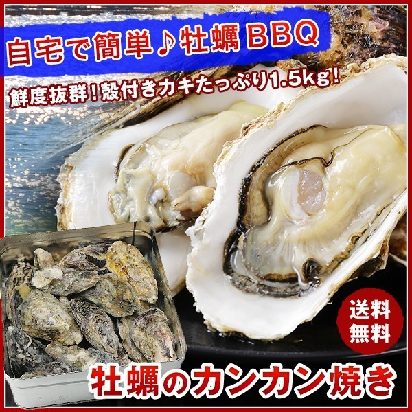 牡蠣 カンカン焼き 殻付きマガキたっぷり1.5kg かき カキ 冷凍便 BBQ バーベキュー ギフト: 食の達人お取り寄せグルメ｜JRE MALL