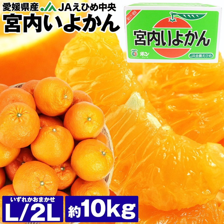 伊予柑 宮内いよかん 10kg 愛媛県産 JAえひめ中央 2L/Lサイズいずれか