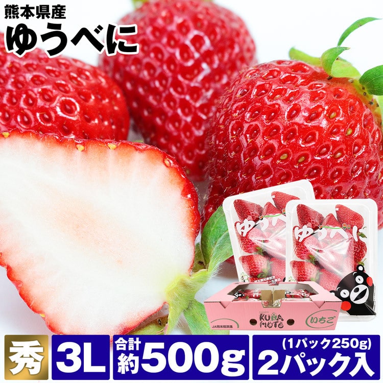 ゆうべに いちご 熊本県産 2パック 約500g (1パック約250g) 秀品 3L 