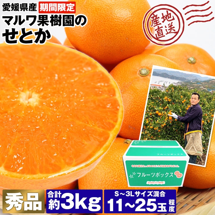 せとか 3kg 愛媛県産 秀品 高級 柑橘 11～25玉程度 S～3Lサイズ混合 