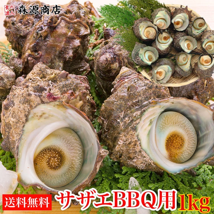 サザエ さざえ バーベキュー BBQ 1kg 8～13個 海鮮 魚介 中サイズ ツボ