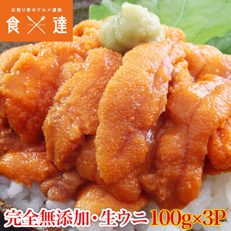 ウニ うに 無添加 冷凍 100g×3パック Aグレード 生ウニ みょうばん不