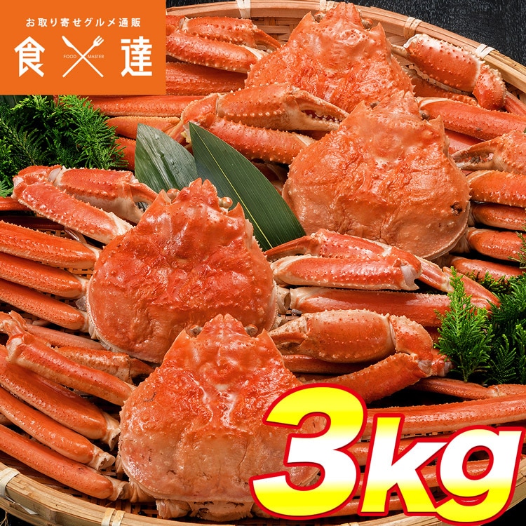 姿ずわいがに 3kg セット (5～6尾) カニ味噌 ズワイガニ カニ かに 蟹