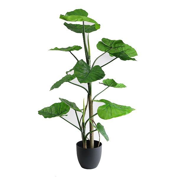 人工観葉植物 クワズイモ 117cm フェイクグリーン 造花（ 観葉植物