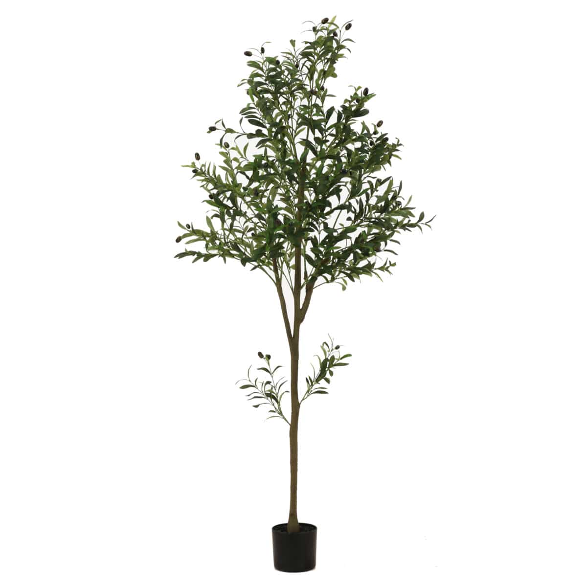 フェイクグリーン オリーブ 高さ180cm ジョイント式 （ 人工観葉植物