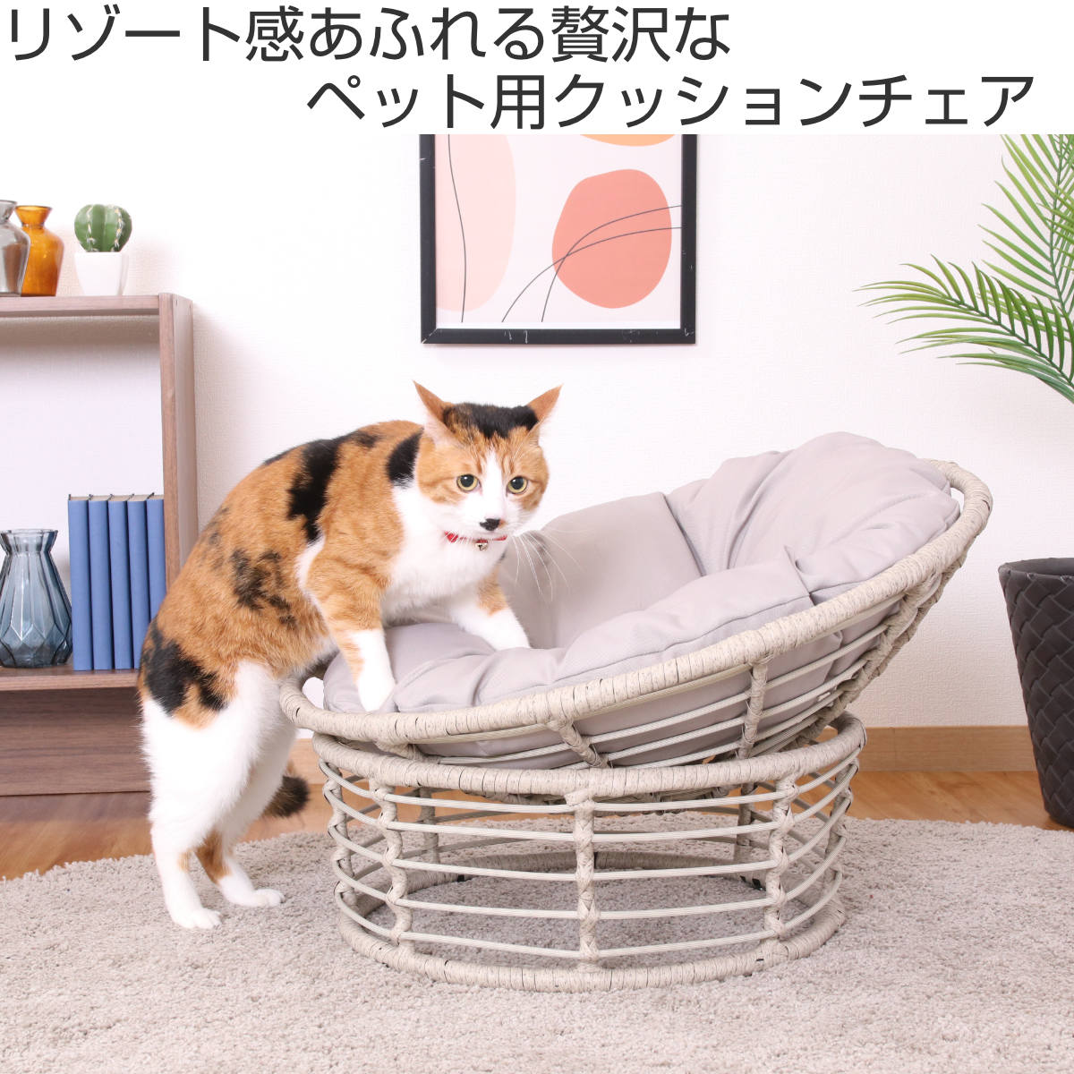 ペットベッド クッションチェア ペット用 猫 ラタン調 （ ペット 