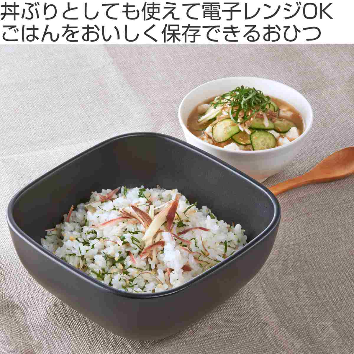 ハリオ おひつ 2合 ご飯釜のおひつ （ HARIO 陶器 電子レンジ対応 日本