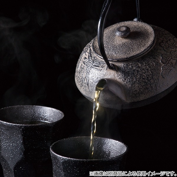 急須 450ml 南部鉄 粋 鋳鉄 ティーポット 日本製（ 鉄急須 土瓶型 お茶