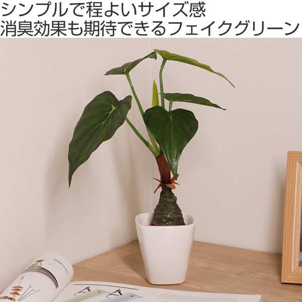 人工観葉植物 アロカシア 30cm フェイクグリーン 造花 光触媒 （ ミニ