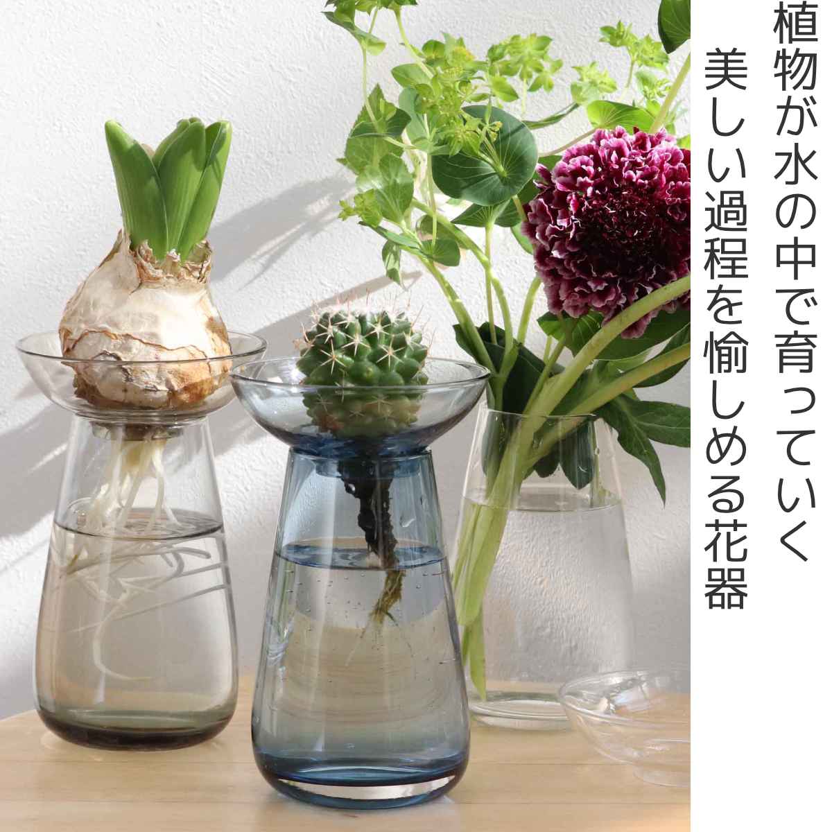 キントー 花器 AQUA CULTURE VASE Sサイズ ガラス 花瓶 おしゃれ