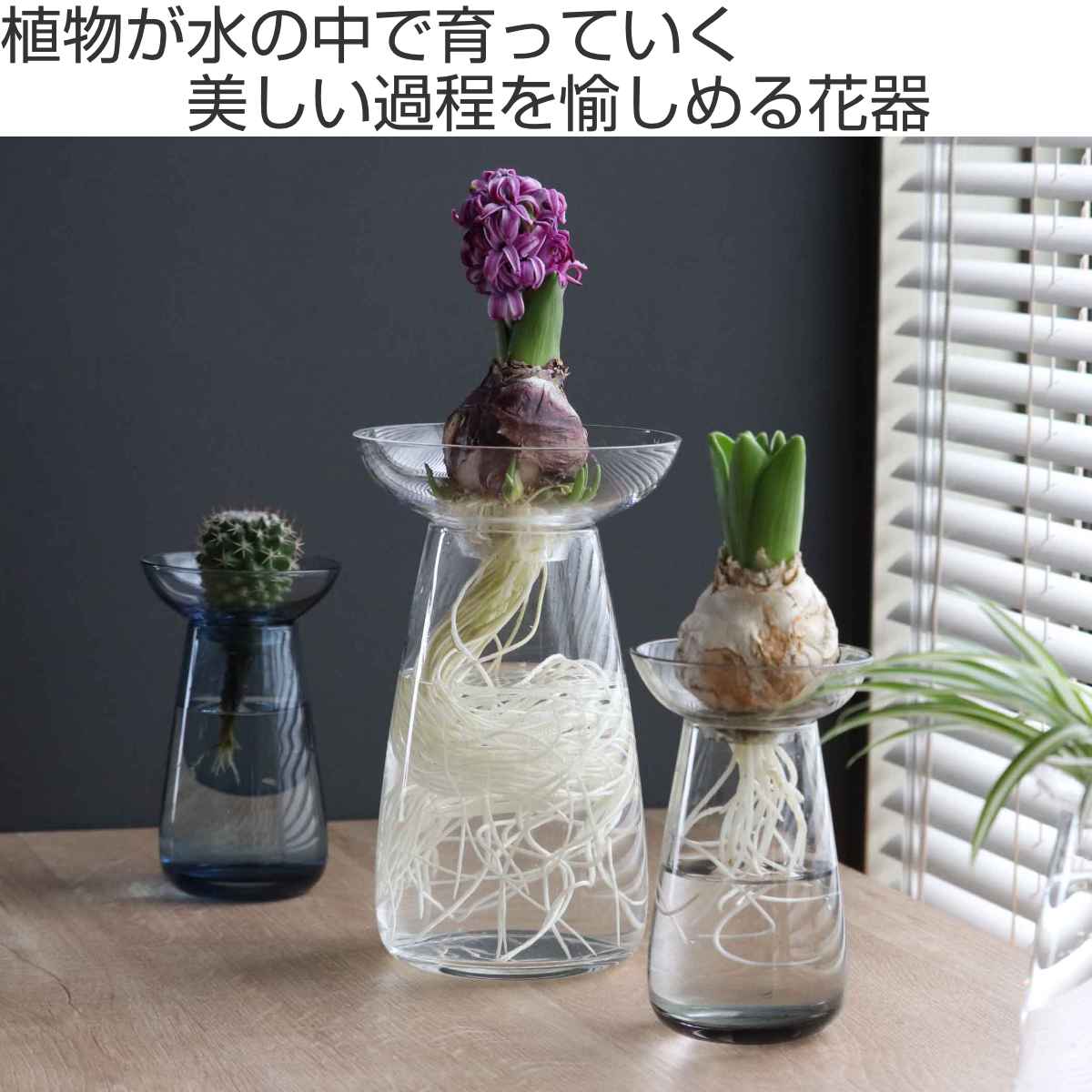 キントー 花器 AQUA CULTURE VASE Lサイズ ガラス 花瓶 おしゃれ