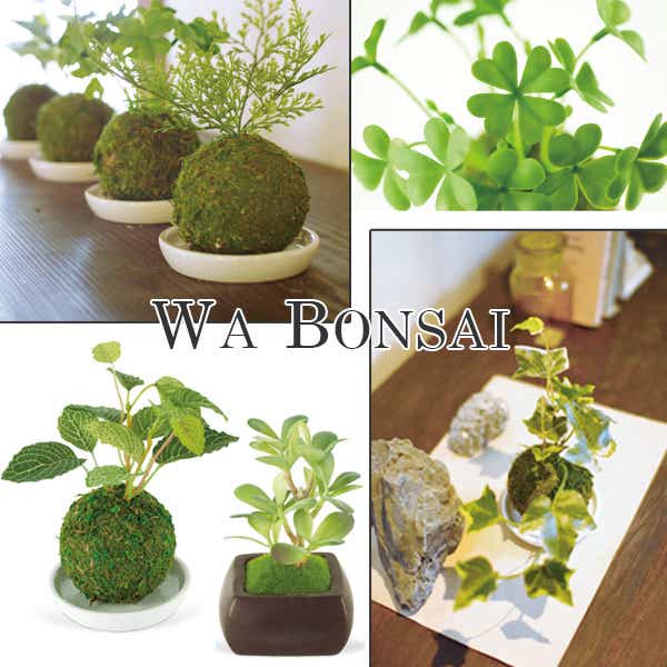 人工観葉植物 WA BONSAI ARTIFICIAL GREEN（ 造花 フェイクグリーン