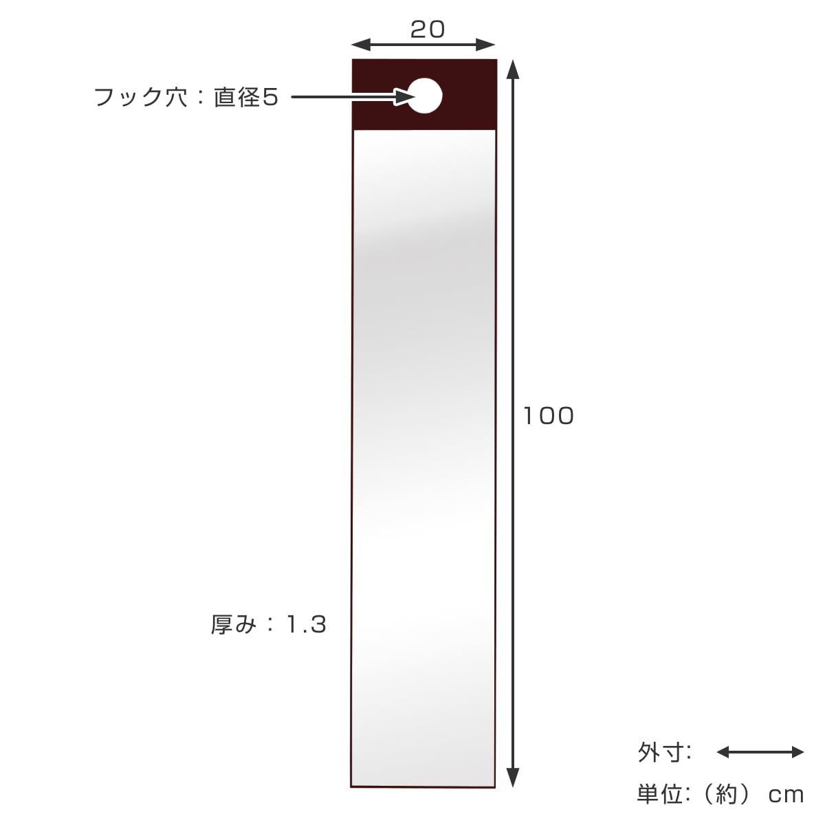 フックミラー 高さ100cm 薄型 日本製（ 鏡 壁掛け 吊り下げ ミラー