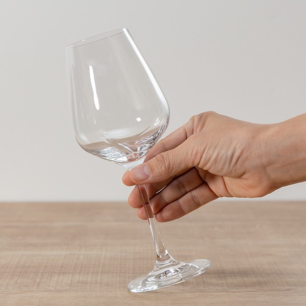 ワイングラス 420ml DESIRE デザイアー ガラス製 羽模様付（ 食洗機対応 グラス 万能型ワイングラス 赤ワイン 白ワイン デザートワイン  万能型 強化ガラス シンプル 業務用 ）: カテゴリトップ｜JRE MALL