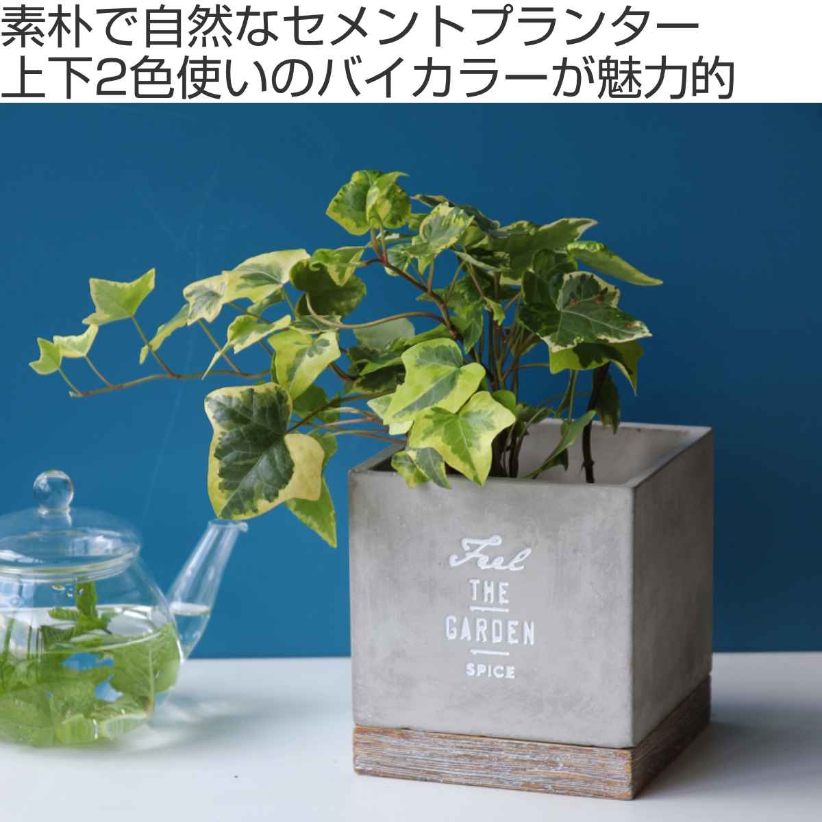 植木鉢 FEEL THE GARDEN セメントプランター スクエア L （ 植木鉢