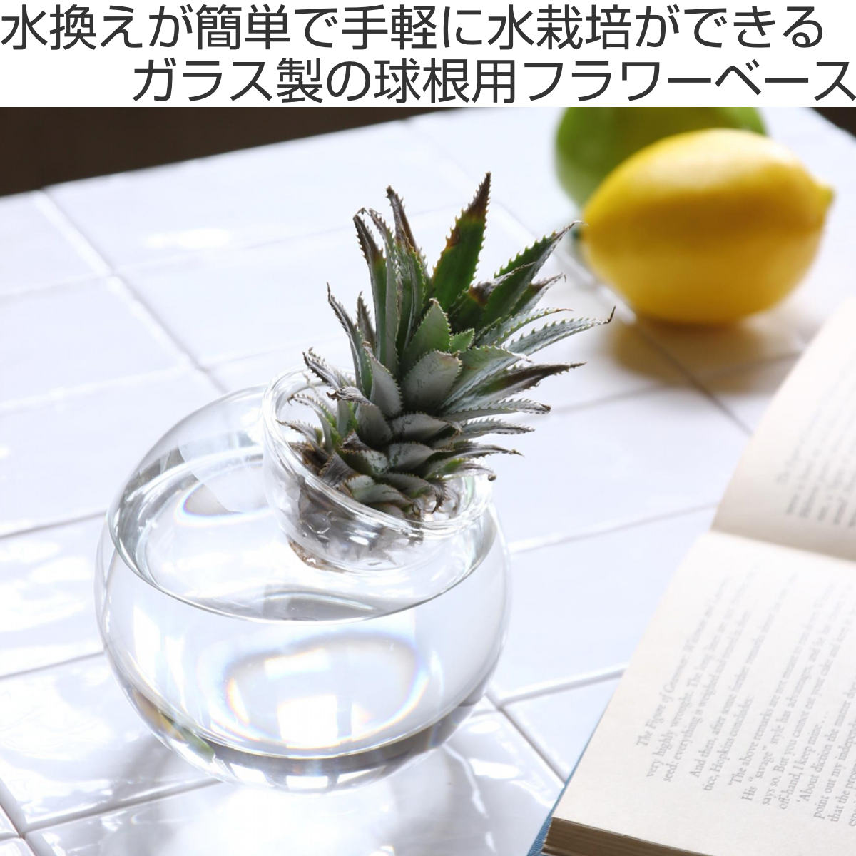 花瓶 BULB VASE 水栽培ガラスベース クリア ラウンドドーム（ 花器