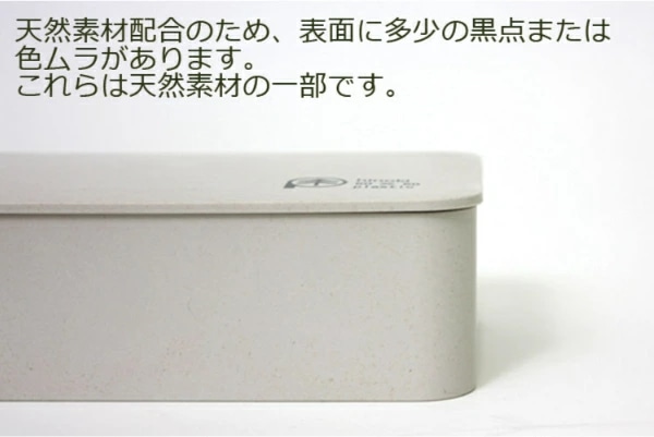 定価の88％ＯＦＦ たつみや 弁当箱 ランチプラス レクタングル ひのきのぷら 電子レンジ可 日本製 L キナリ