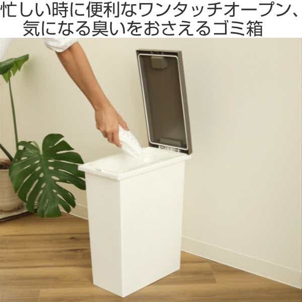 ゴミ箱 20L 消臭 抗菌 防臭 臭わない パッキン プッシュ ふた付き