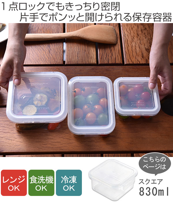 保存容器 片手でPON 830ml スクエア 密閉（ 食洗機対応 電子レンジ対応