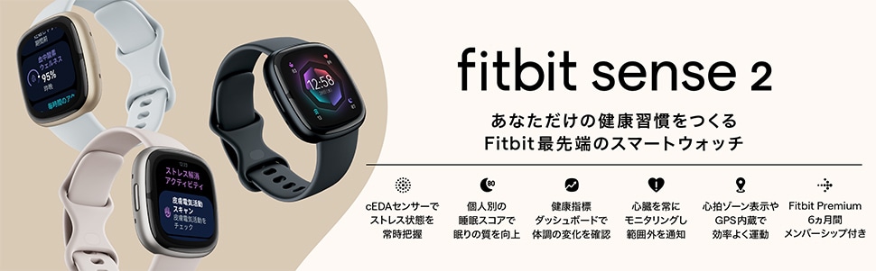 Fitbit Sense 2 シャドーグレー グラファイトアルミニウム フィット ...