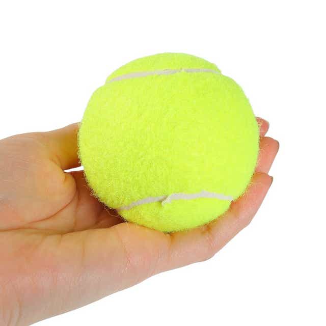 トップ 中古ノンプレッシャー硬式テニスボール１６５球 ボール - www ...