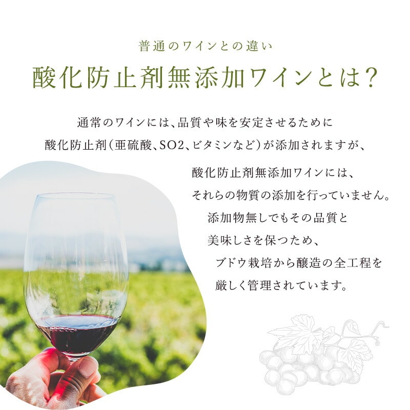 クーポン配布中！]［送料無料］酸化防止剤 無添加 赤 白 オレンジ ロゼ