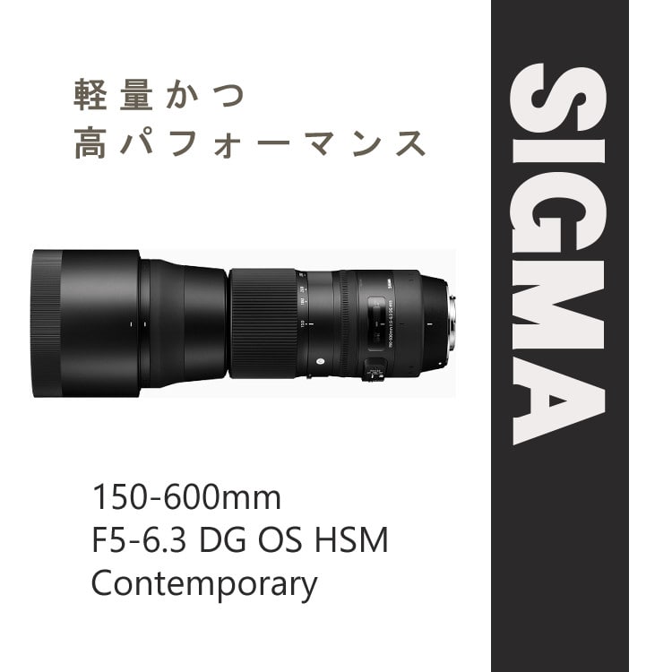 ケンコー 高品質フィルターセット】【レンズ】シグマ 150-600mm F5-6.3
