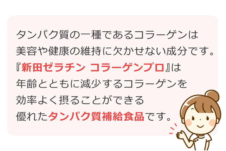 5点セット)（粉末コラーゲン) 新田ゼラチン コラーゲンプロ 300g 粉末