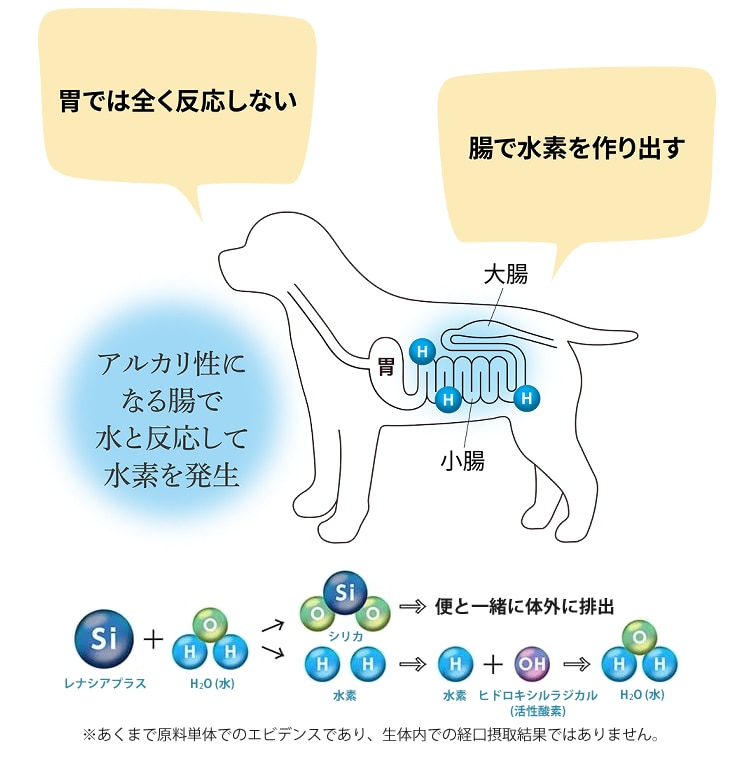 犬用おもちゃ付）サンライズ THE・PERFECT ONE ドライ チキン 成犬用