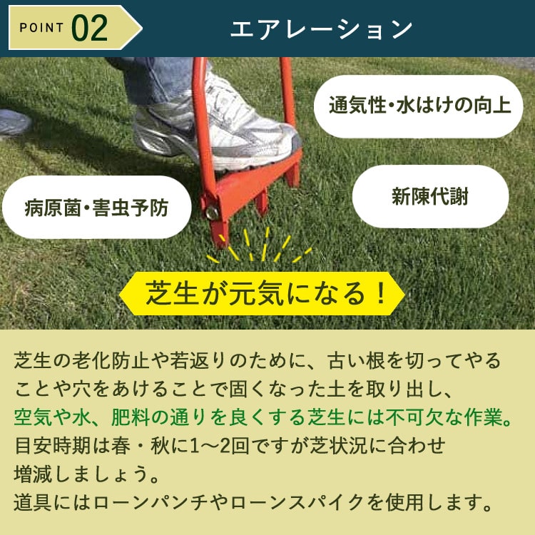 初心者安心 芝生お手入れ10点セット】 キンボシ 【芝刈機】キンボシ