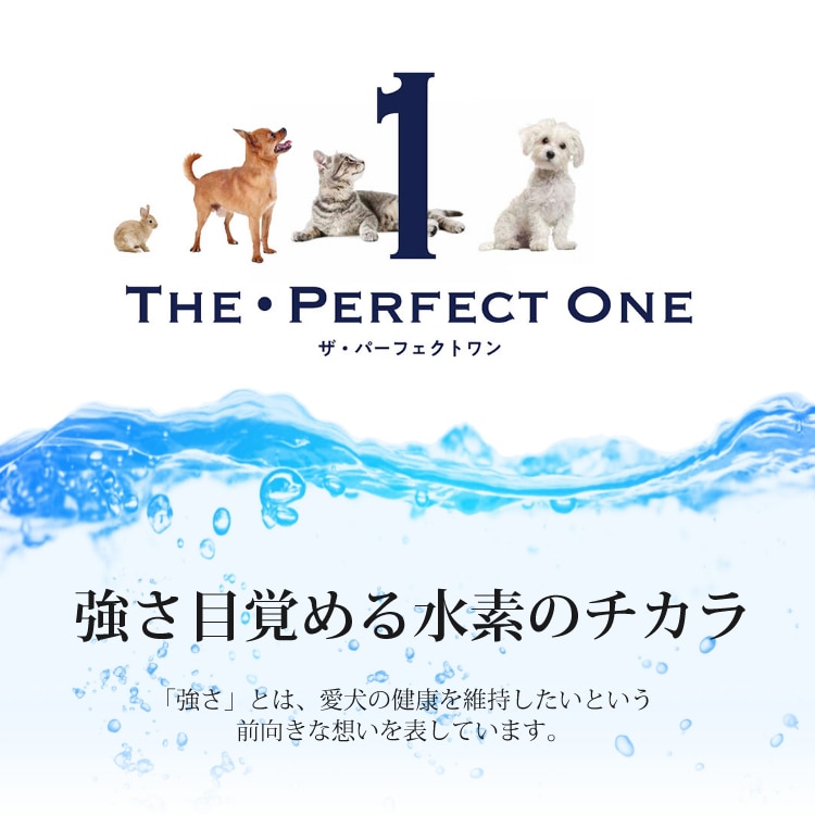 犬用おもちゃ付）サンライズ THE・PERFECT ONE ソフト チキン 成犬用