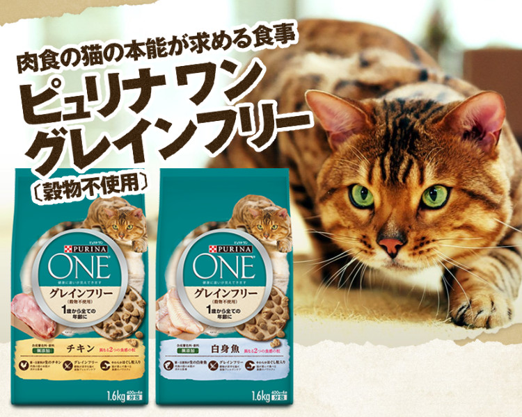 3個まとめ＋おもちゃ付き】 キャットフード 猫用 ドライフード 総合