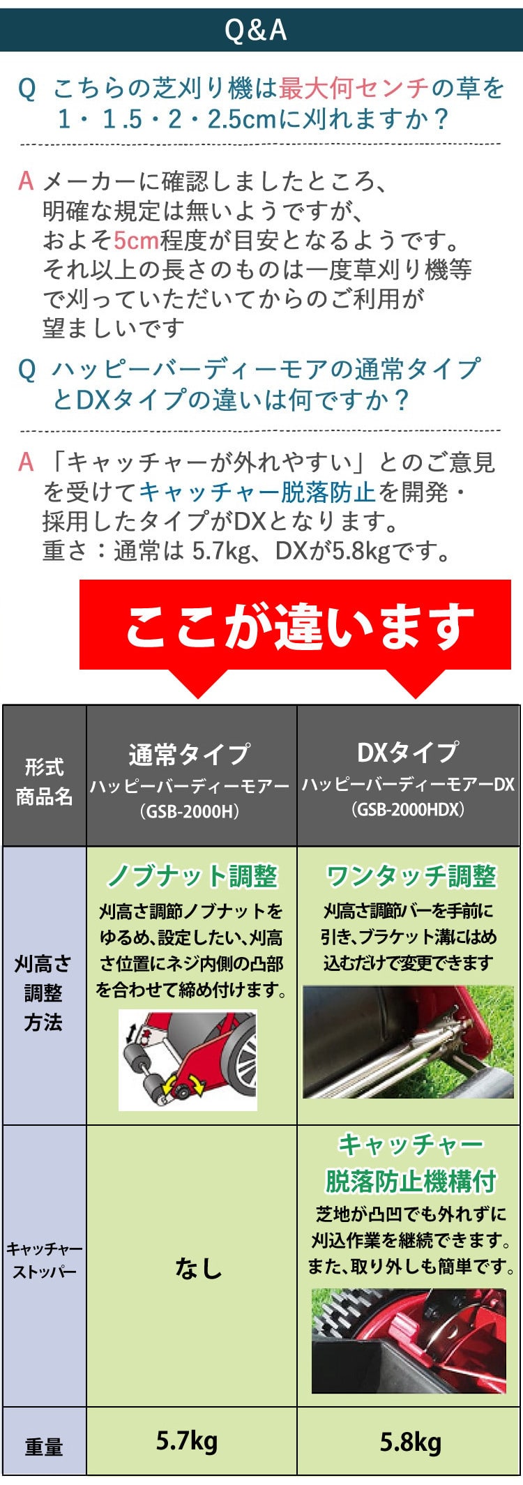 初心者安心 芝生お手入れ10点セット】 キンボシ 【芝刈機】キンボシ