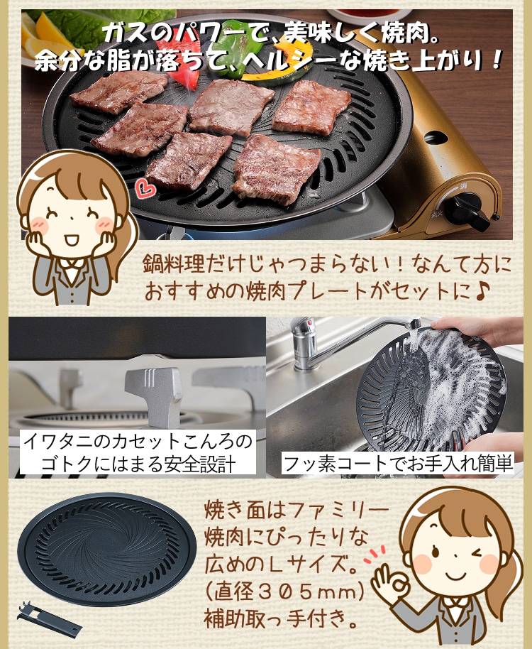 カセットコンロ＆オプション品セット】 岩谷産業 カセットフー エコ