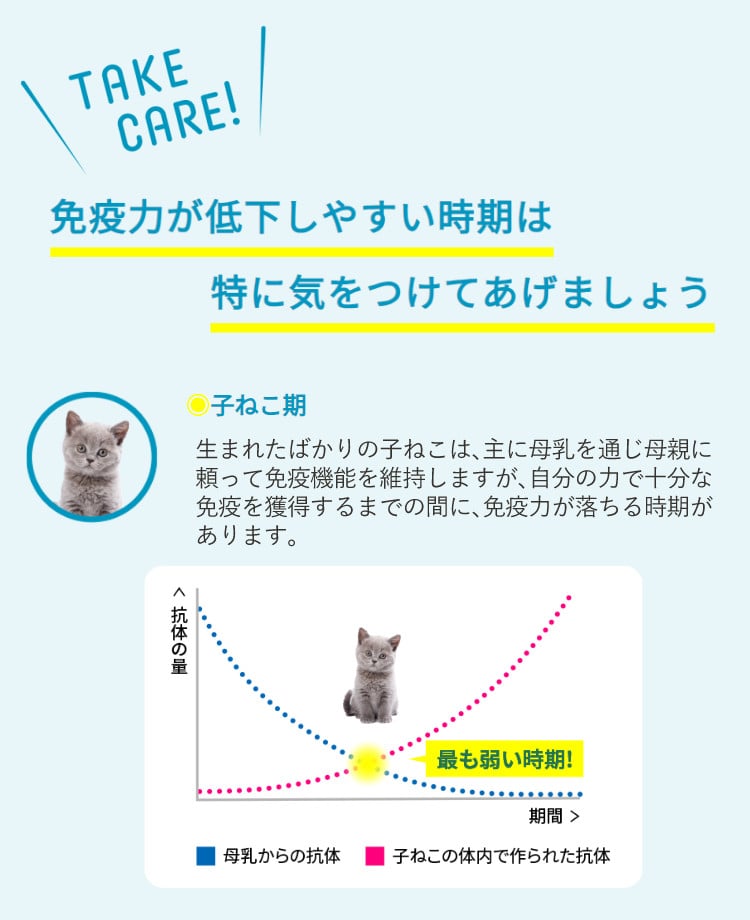 2個まとめ＋消臭剤付き】 キャットフード 猫用 ドライフード 総合栄養