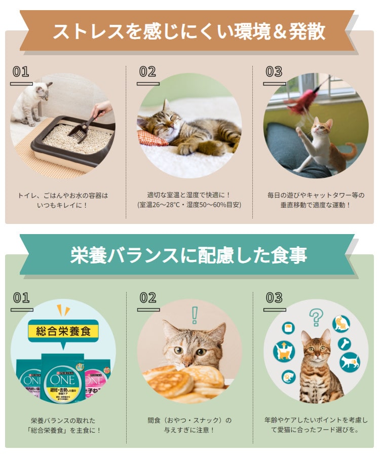 3個まとめ＋おもちゃ付き】 キャットフード 猫用 ドライフード 総合