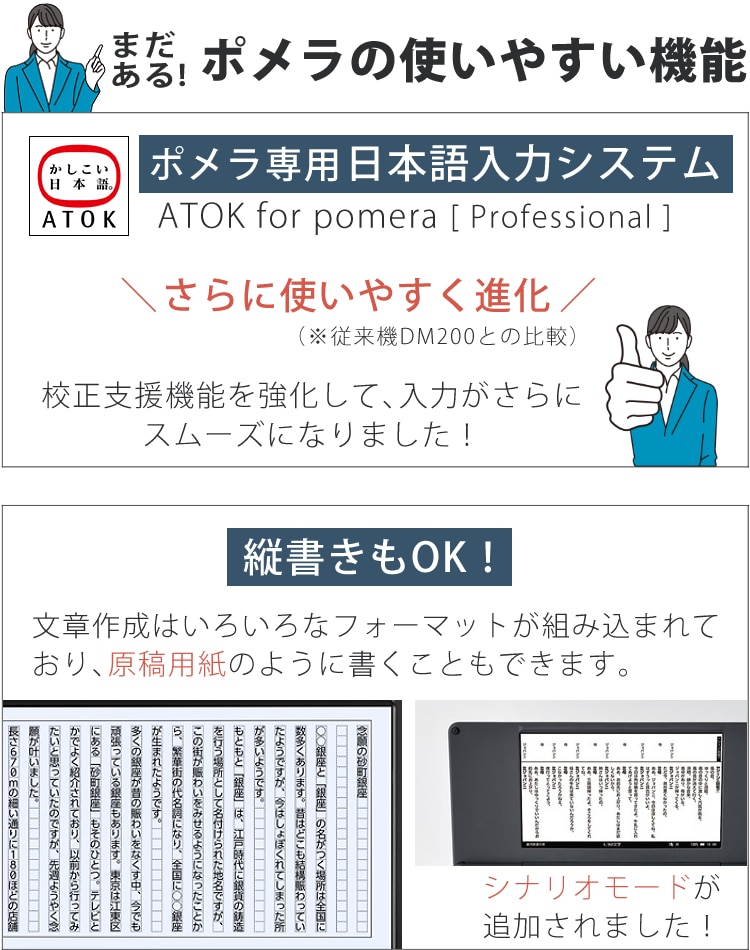 レビューで札幌カレープレゼント）(大切に使えるセット 純正ソフト