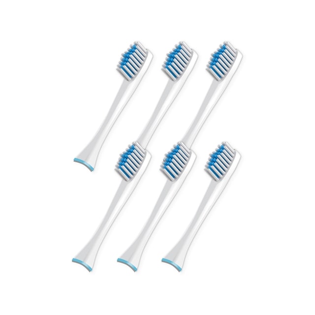 幸せの歯ブラシ GALLEIDO DENTAL MEMBER 6本 (電動歯ブラシ)替えブラシ ...