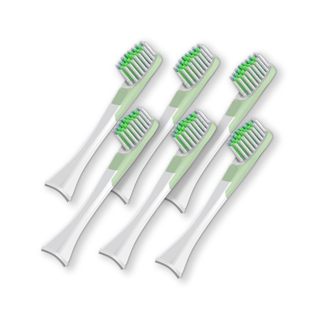 幸せの歯ブラシ GALLEIDO DENTAL MEMBER 6本 (電動歯ブラシ)替えブラシ