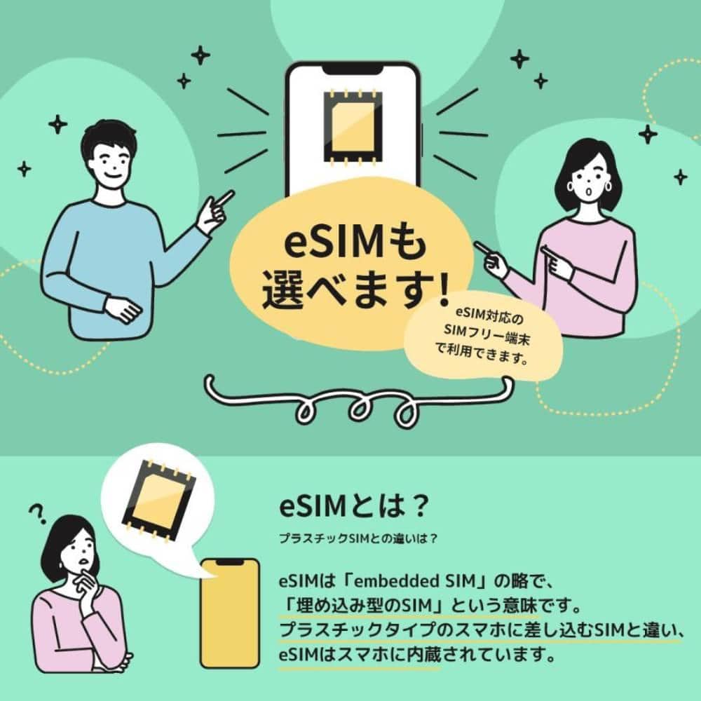 日本通信SIM 日本通信SIM スターターパック ドコモネットワーク NT-ST2 ...