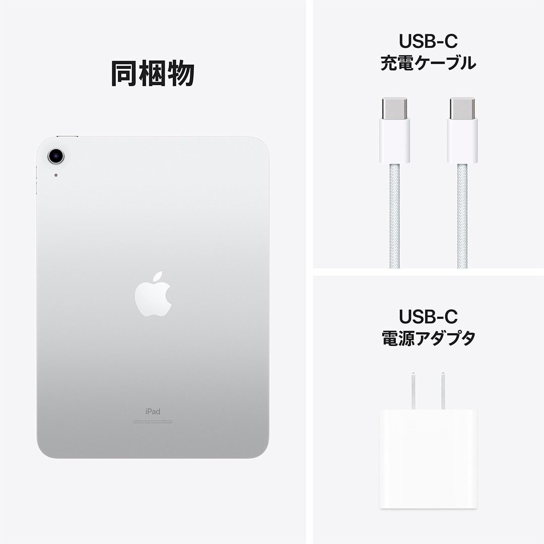 10.9インチiPad Wi-Fiモデル 256GB - シルバー: Apple Rewards Store ...