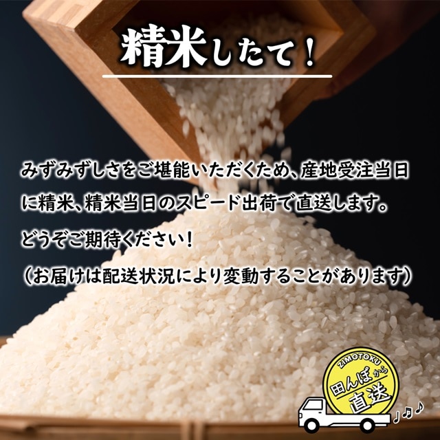 白米）千葉県産 コシヒカリ 9kg 「増量オトク9kg！」令和5年: ZIMOTOKU