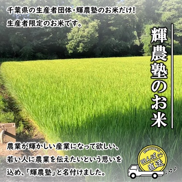 無洗米）千葉県産 コシヒカリ 8kg 「増量オトク8kg！」令和5年 